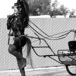 Show Pony Pulling a Cart Female Show Pony Pulling A Cart
